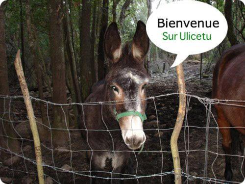 Country house U Licetu A La Campagne *
