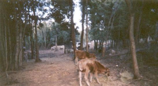 U Licetu A La Campagne Country house Oreta
