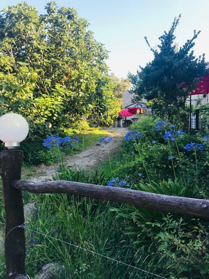 U Licetu A La Campagne Country house Oreta